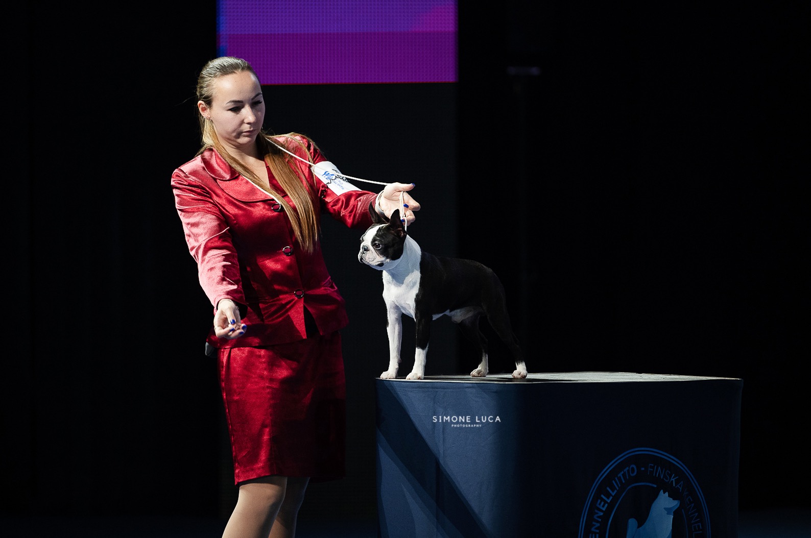 Elegant Ernesto - World Winner Boston Terrier Champion