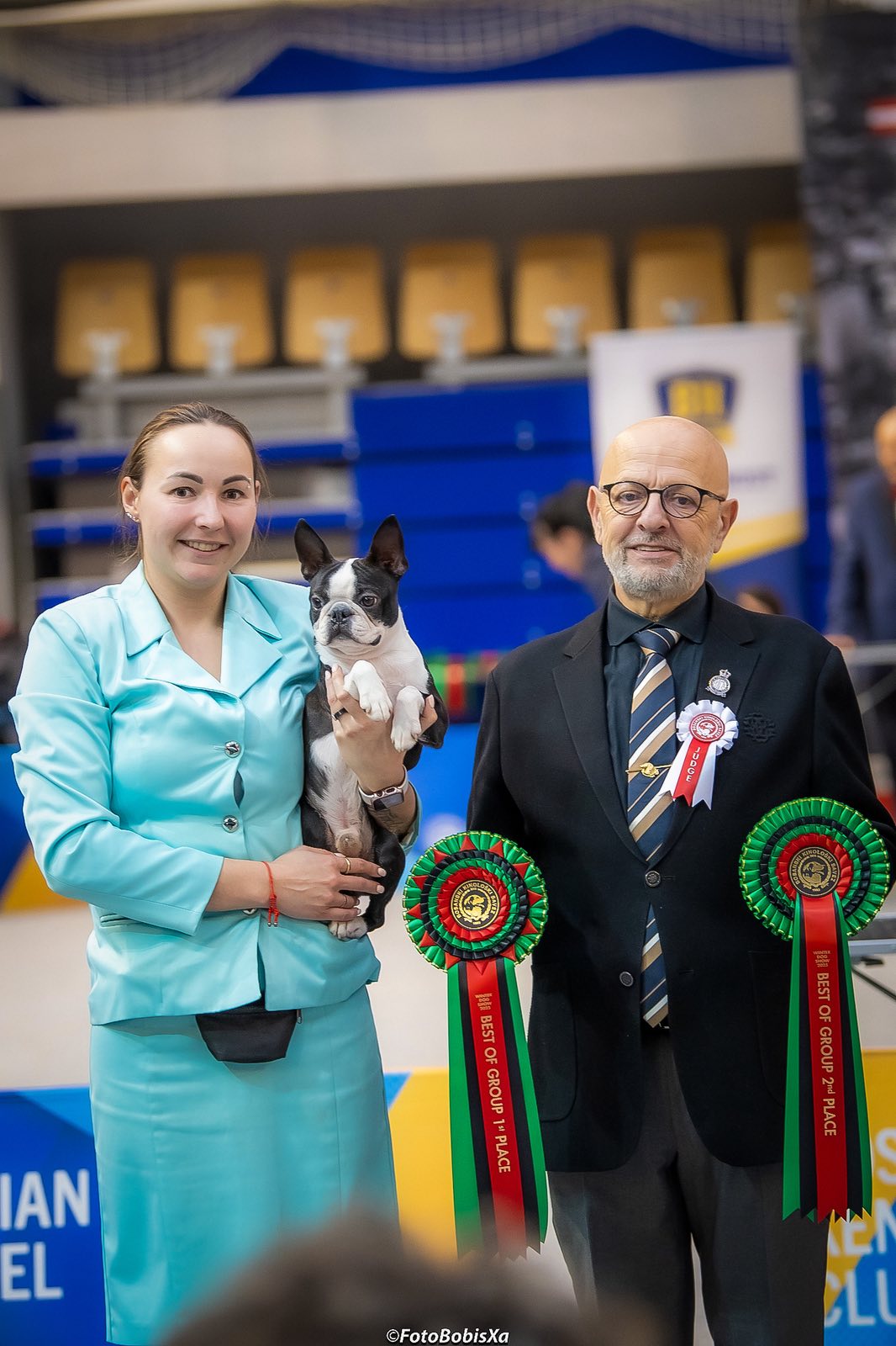 Champion Boston Terrier Elegant Ernesto at dog show