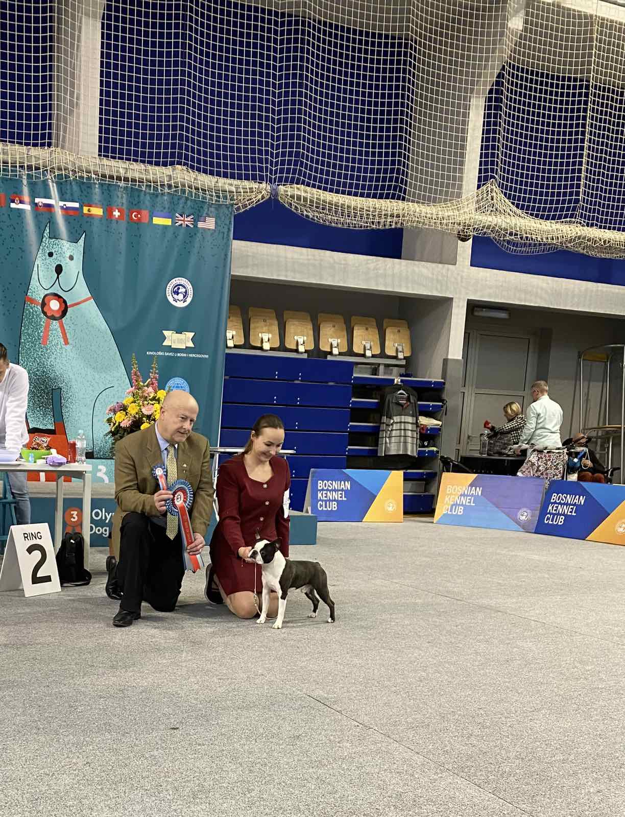  Admirable Amir - Boston Terrier