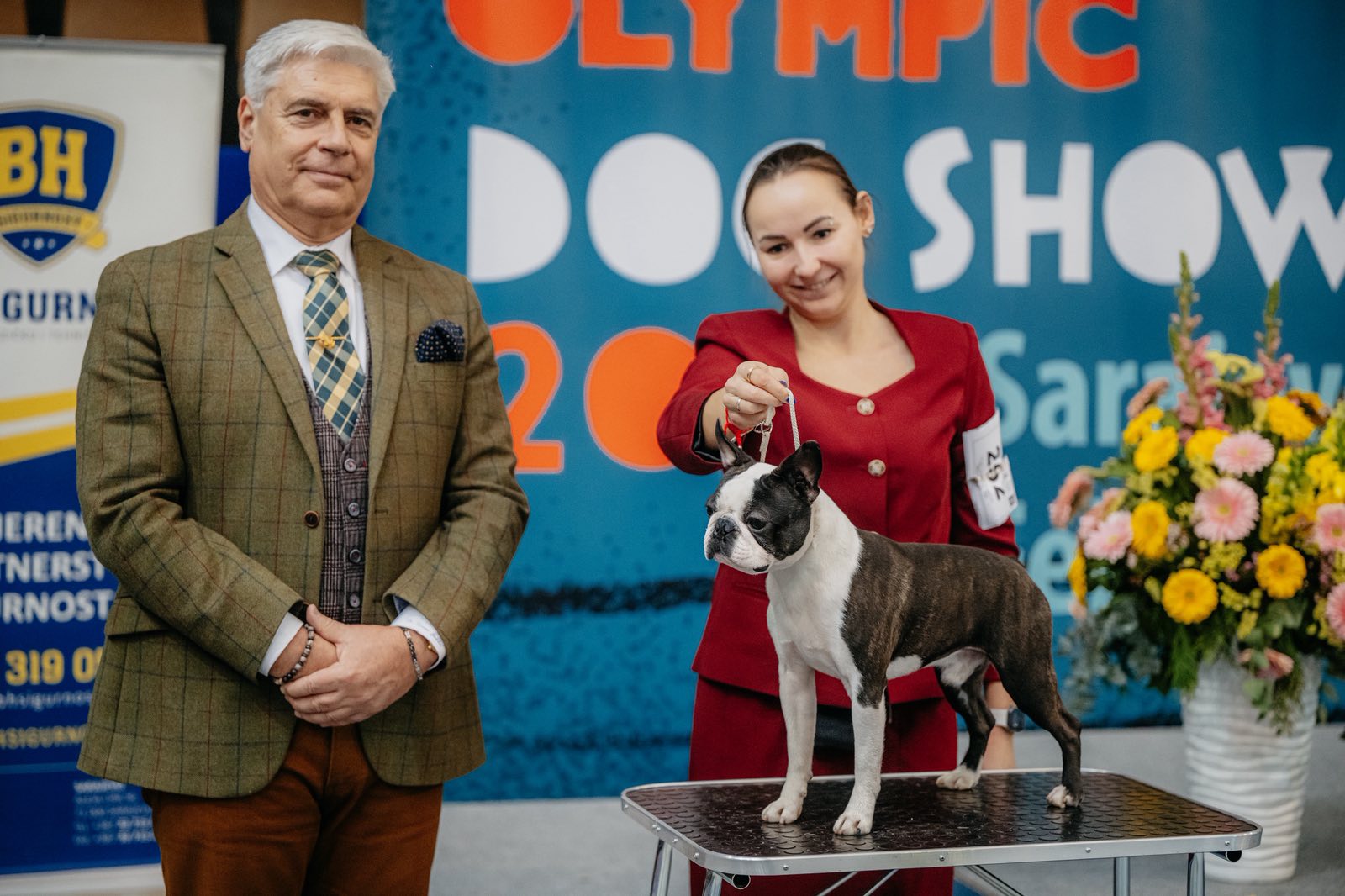  Admirable Amir - Boston Terrier