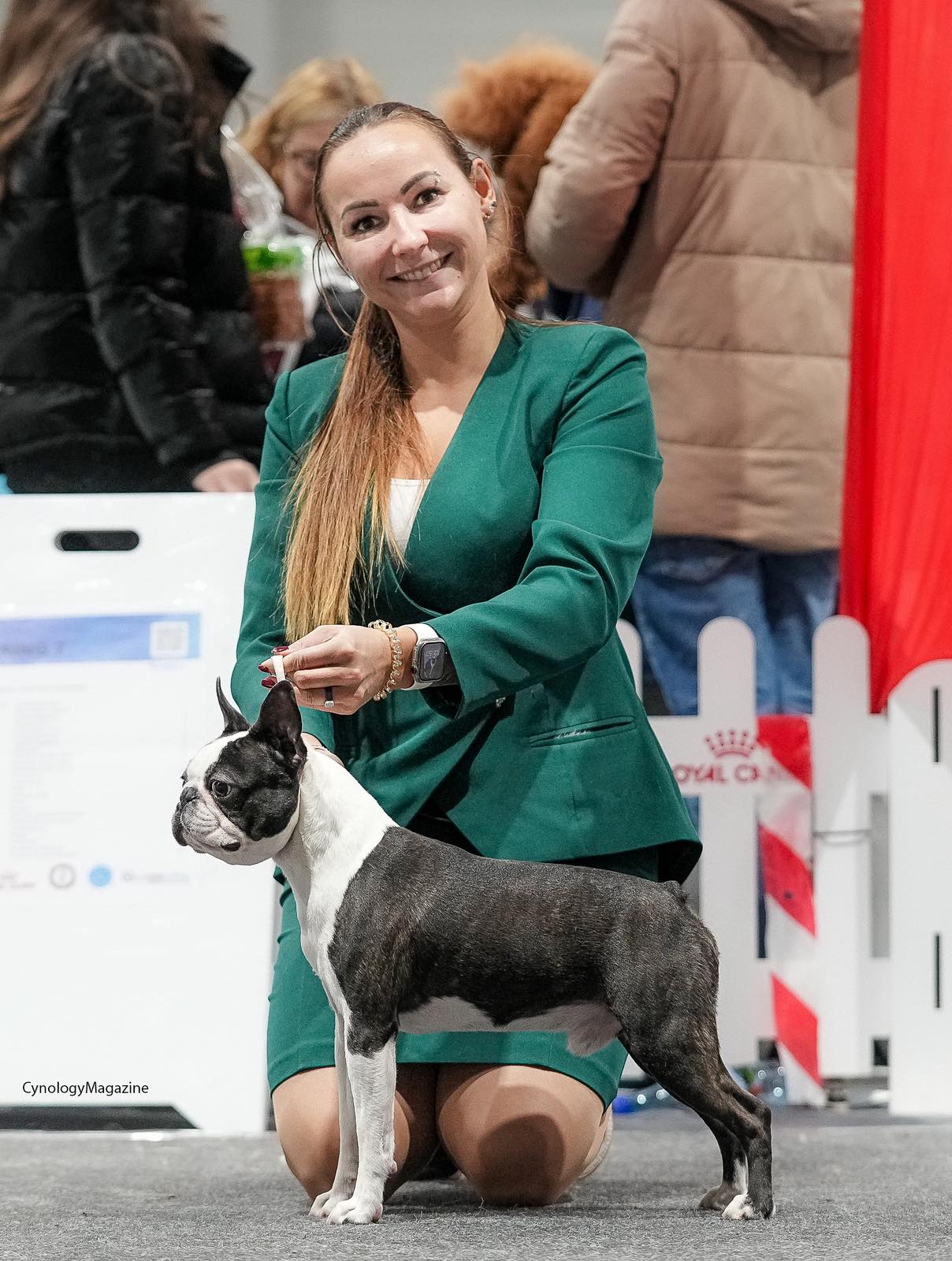  Admirable Amir - Boston Terrier