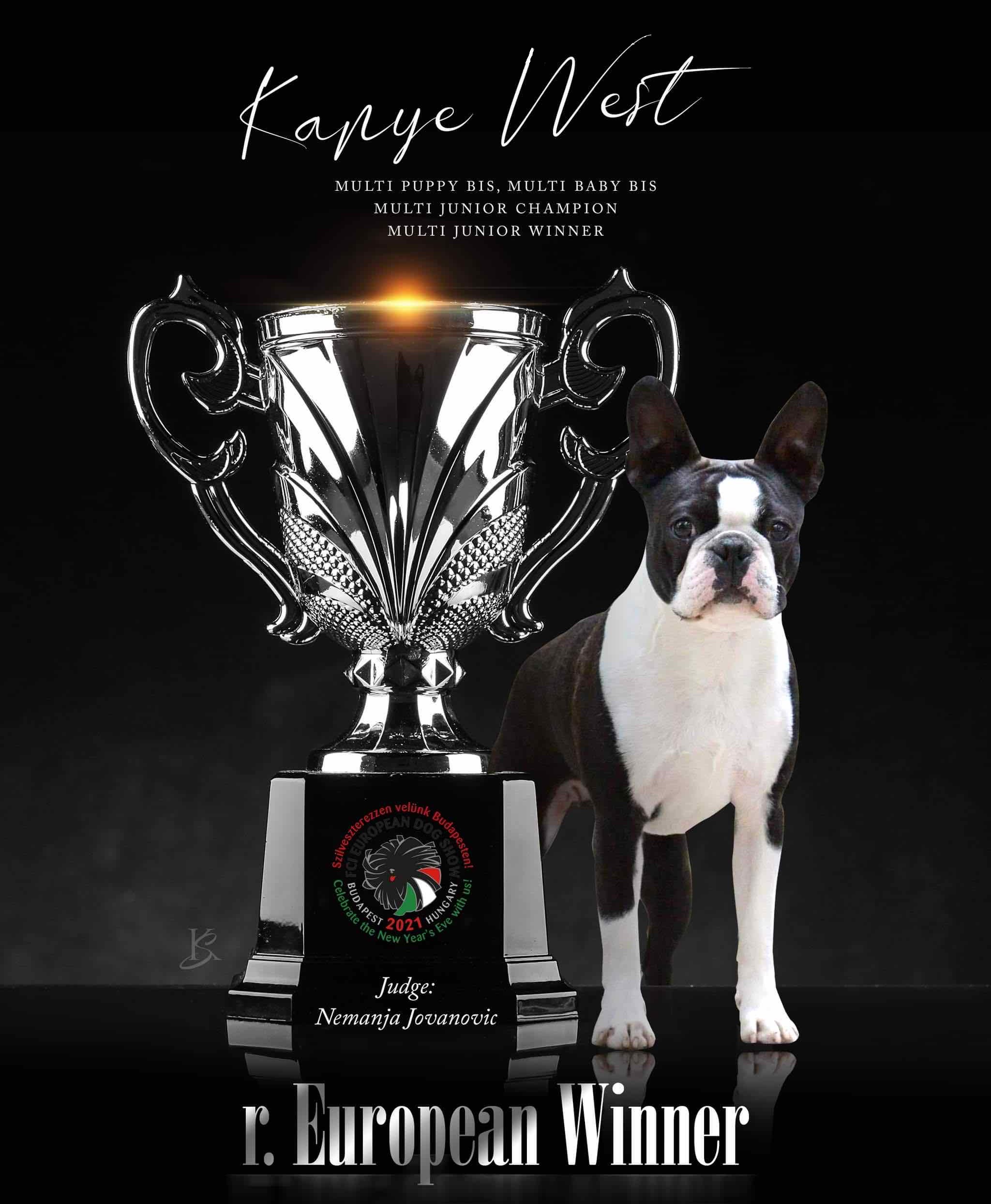Kanye West - International Beauty Champion Boston Terrier