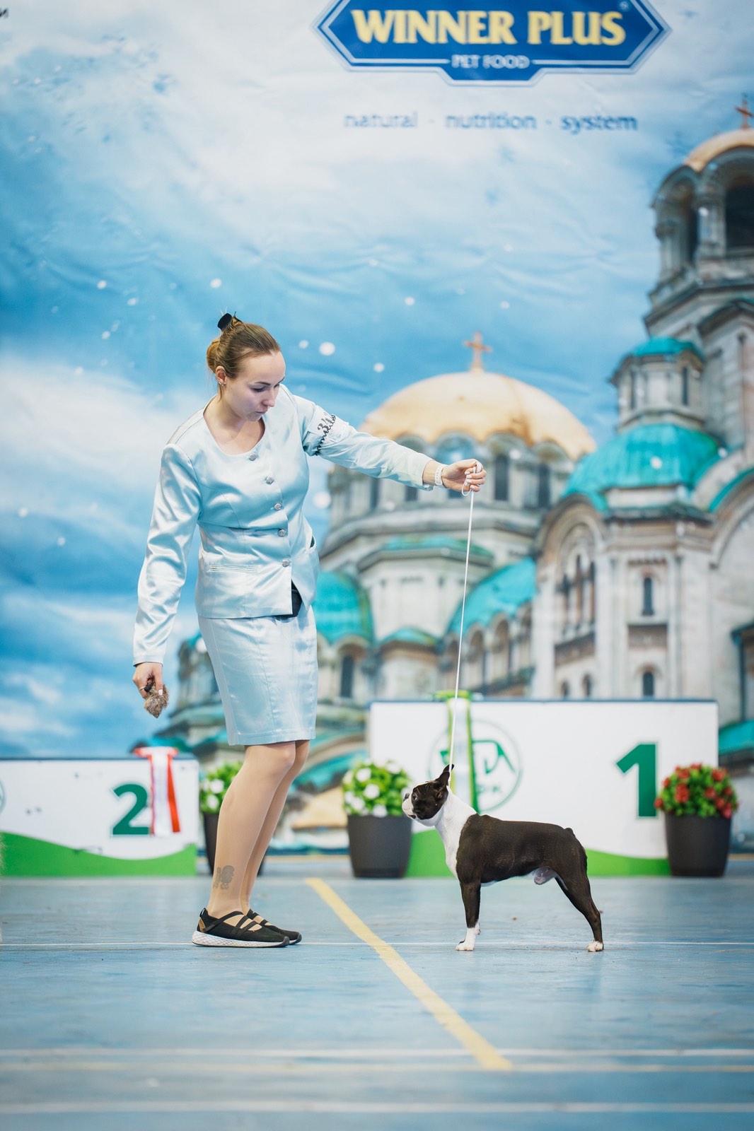  Kanye West - Boston Terrier