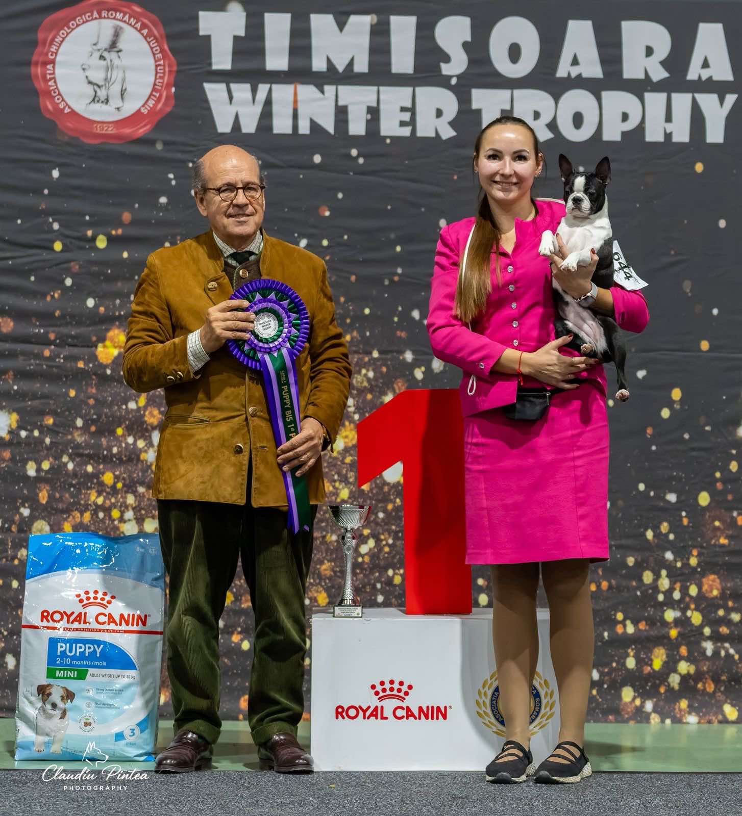  Conspicuous Cano - Boston Terrier