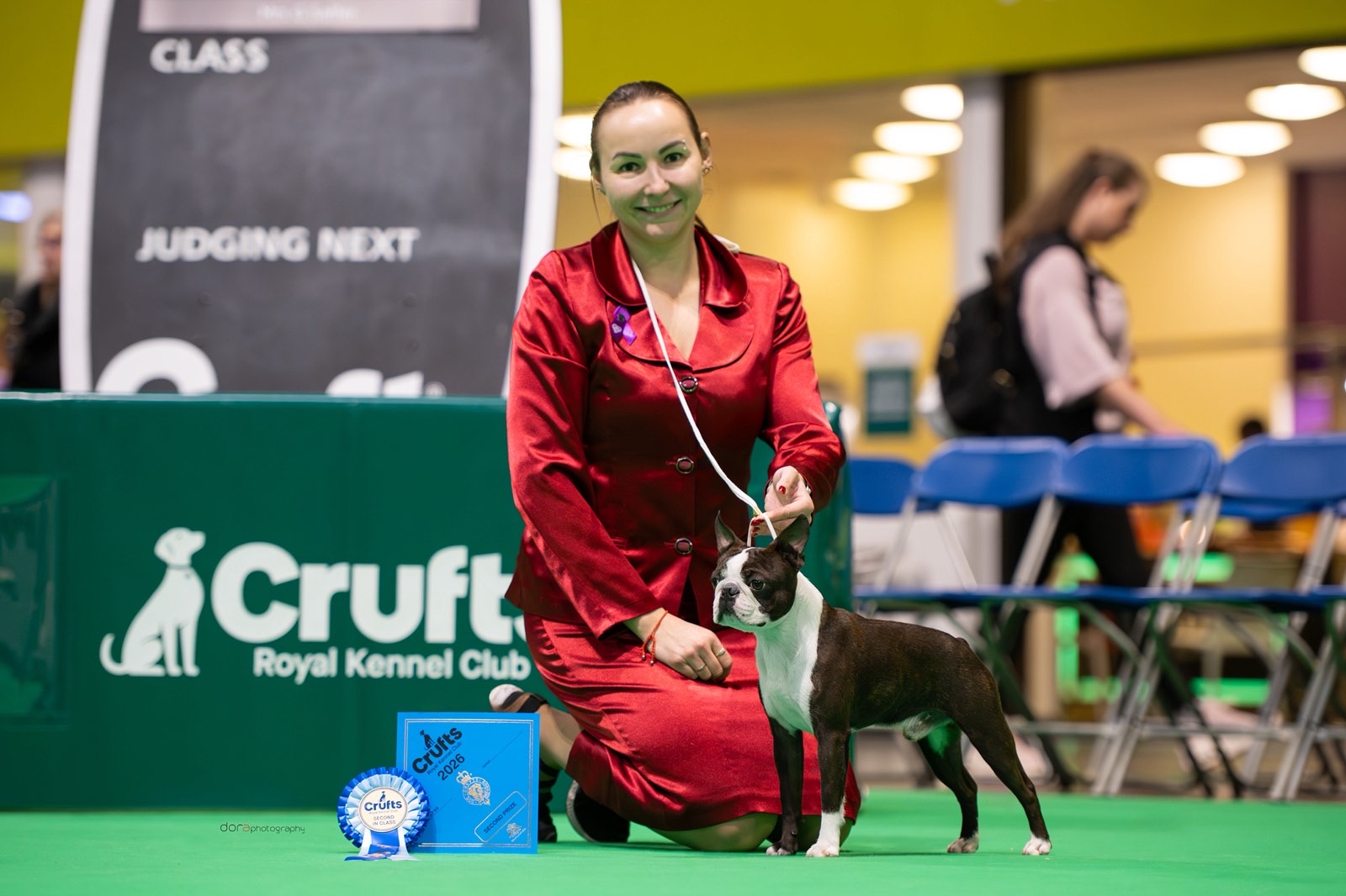  Conspicuous Cano - Boston Terrier