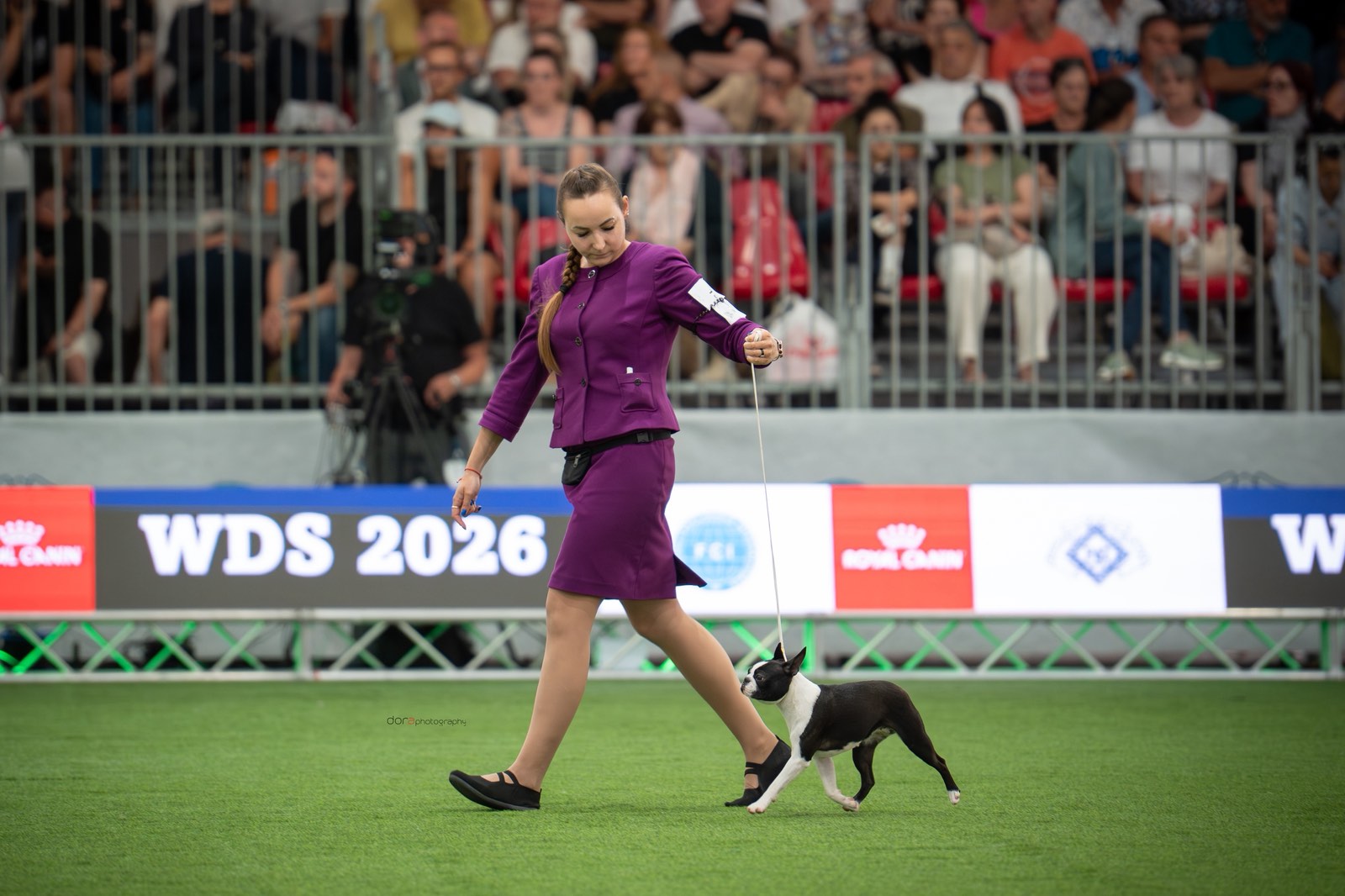 Divine Darla - AT Team WDS 2026 Bologna