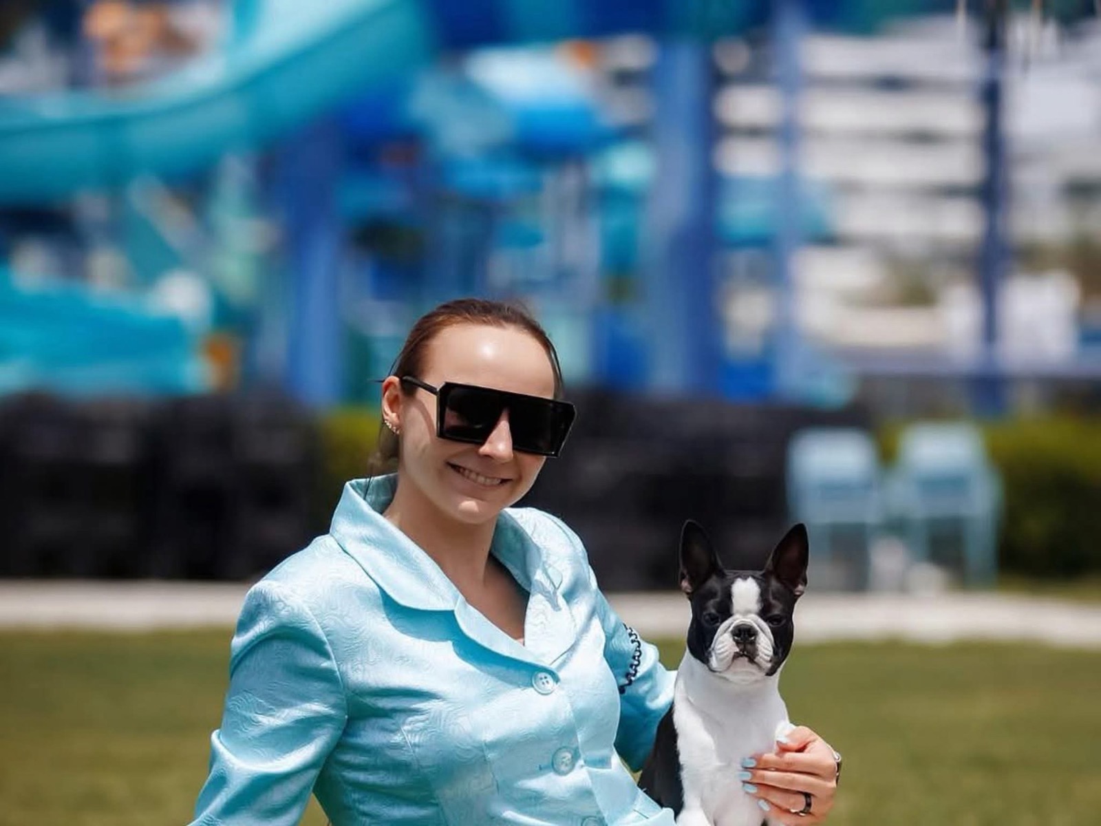 Divine Darla - Boston Terrier