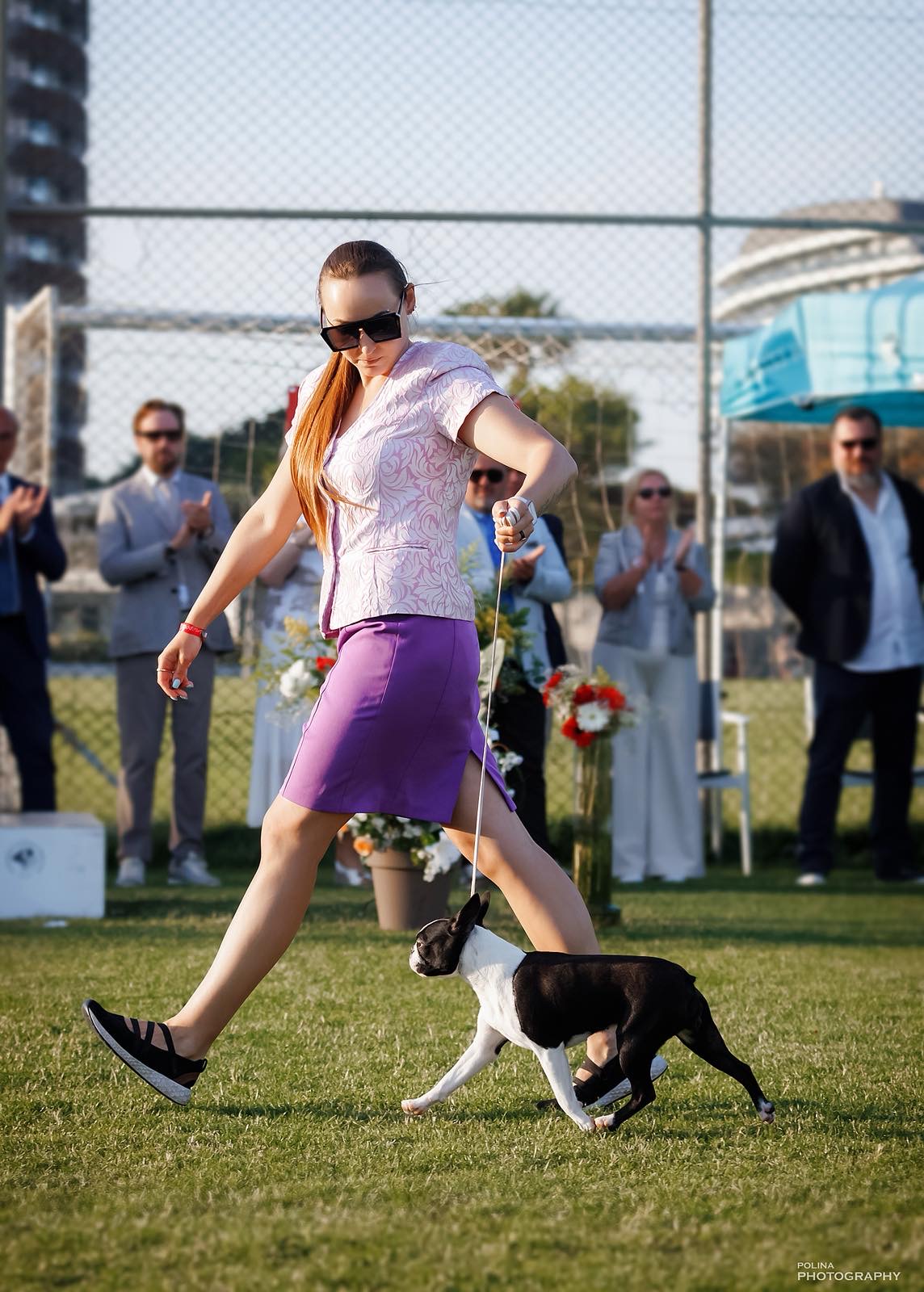 Divine Darla - Boston Terrier
