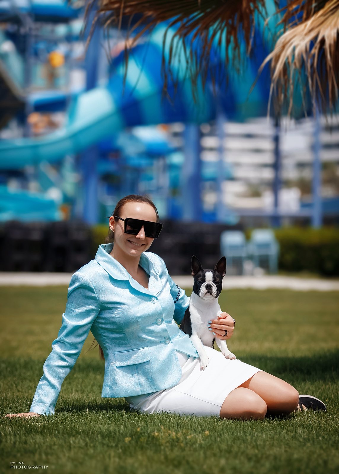 Divine Darla - Boston Terrier