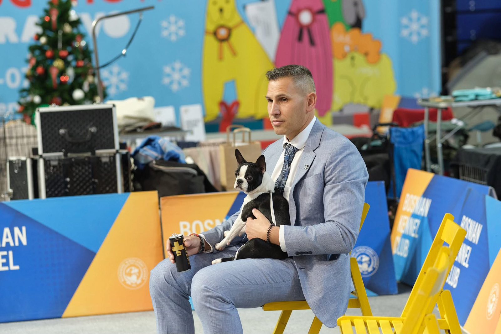 Divine Darla - Boston Terrier