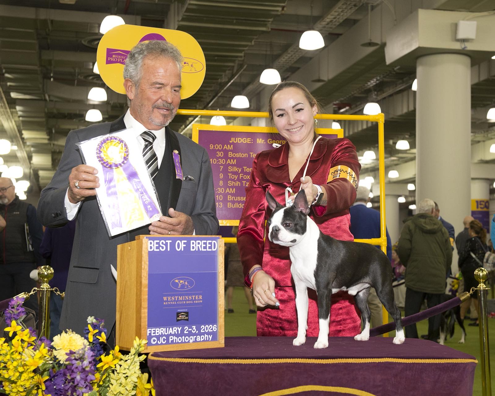 Elegant Ernesto - Club Show 2026 Best of Breed Boston Terrier