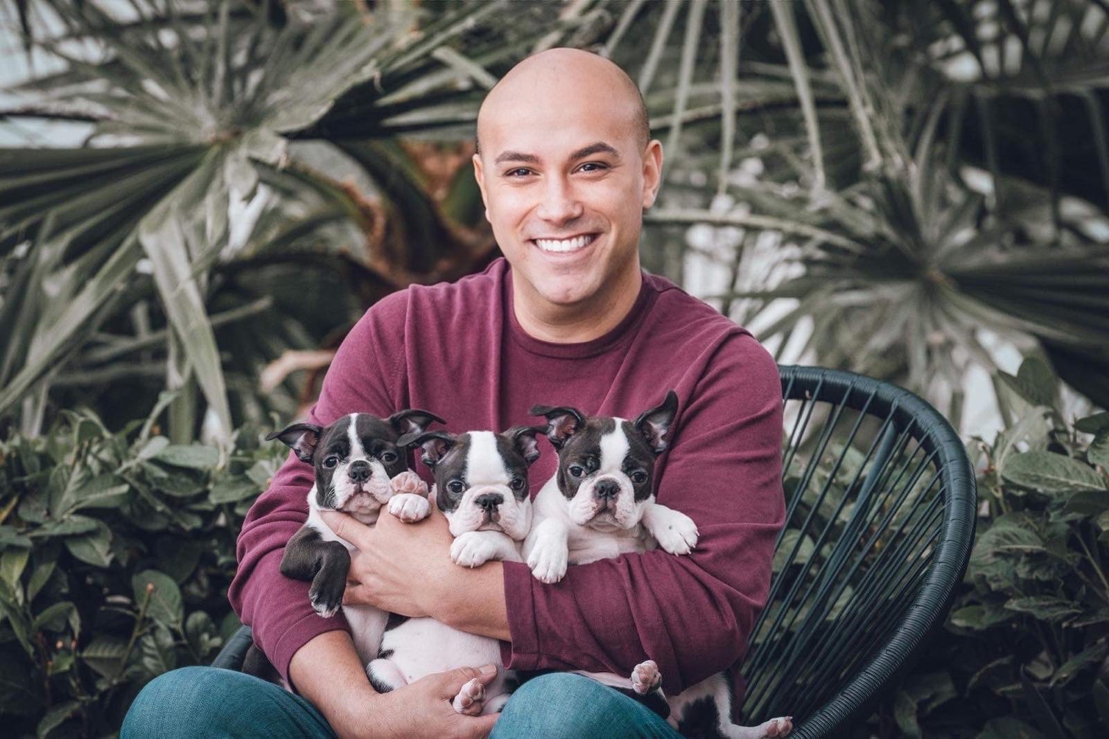 Boston Terrier puppies from AT Team champion bloodline