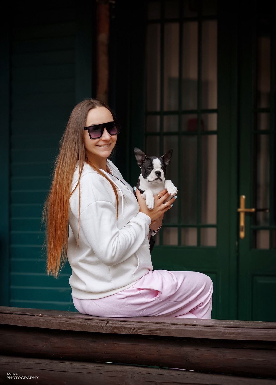 AT Team Boston Terrier Puppy