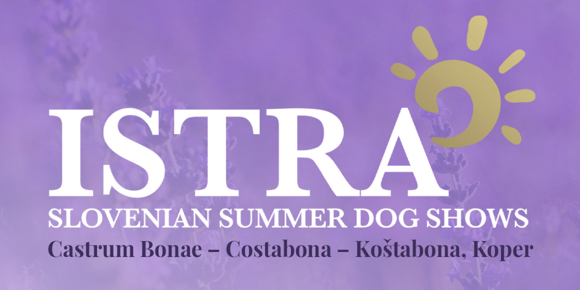 Slovenian Summer Night Shows Istra