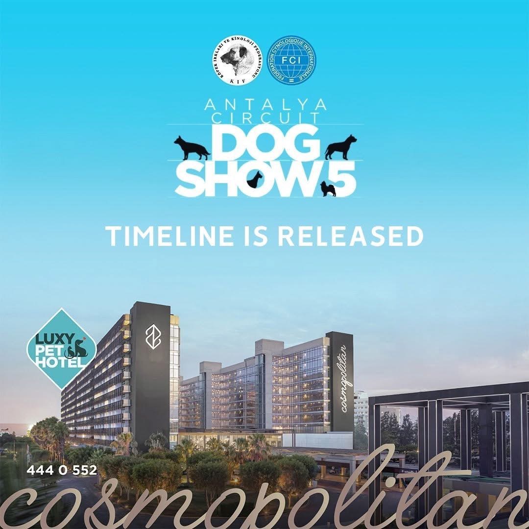 Antalya Dog Show - Divine Darla AT Team