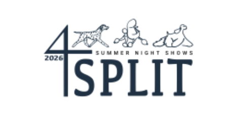 4 Summer Night Shows in Split